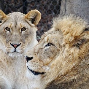 Jan. 2016 - Africa - Imani + John