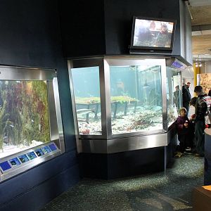 Aquariums