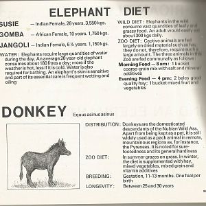 Page from The Animals of Flamingo Land, 1976