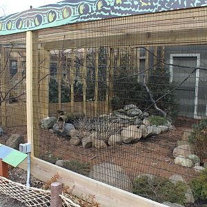 Feb. 2016 - Pheasantry - Himalayan Monal Exhibit