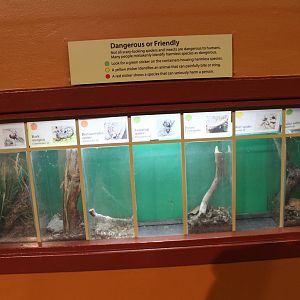 Feb. 2016 - Museum of Science - Crawl Space - 7 Exhibits