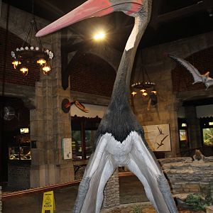 Feb. 2016 - Reptile House - Quetzalcoatlus