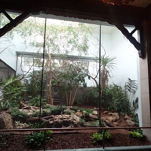 Feb. 2016 - Aviary - Central + South American Bird Exhibit (4 Species)
