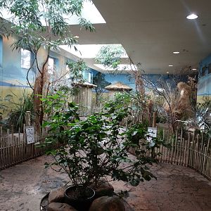 Feb. 2016 - Aviary - African Grasslands Walkthrough Exhibit (21 Species)
