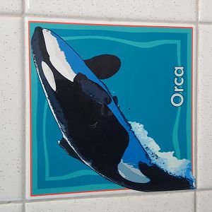 Feb. 2016 - Tile of Katina in a Restroom