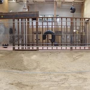 Feb. 2016 - Tembo Trail - Indoor Elephant Exhibit