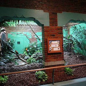 Feb. 2016 - Aviary - 3 Bird Exhibit