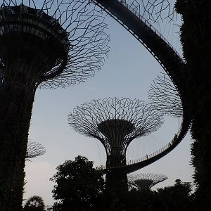 Gardens by the Bay
