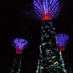 Gardens by the Bay