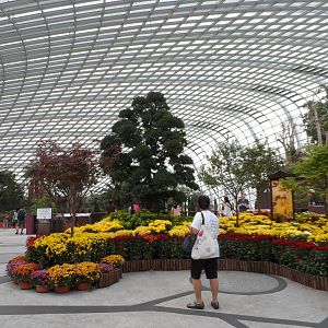 Gardens by the Bay