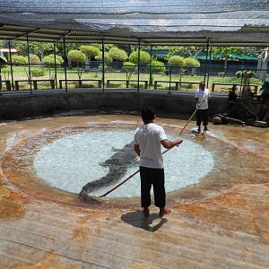 Tuaran Crocodile Farm