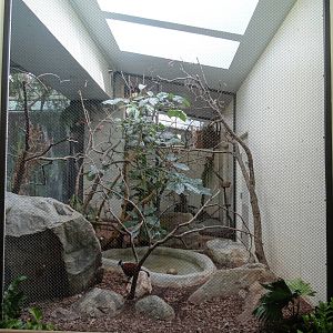 Feb. 2016 - Aviary - 5 Species Exhibit