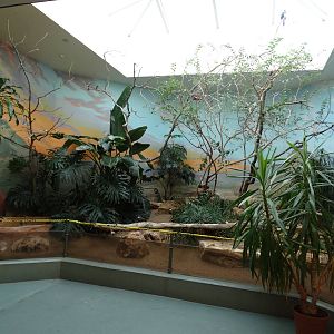 Feb. 2016 - Aviary - Madagascar Exhibit (9 Species)