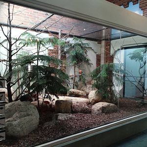 Feb. 2015 - Aviary - 5 Species Exhibit
