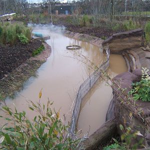 View of fence put in to stop the Visayan Warty Pigs going for a swim round