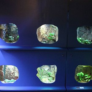 Small enclosures for small animals