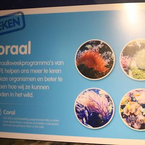 Info-sign Coral-breeding