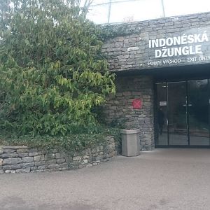 Entrance Indonesian Jungle