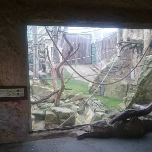Part outdoor enclosure Orang utans
