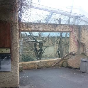 Part outdoor enclosure Orang utans