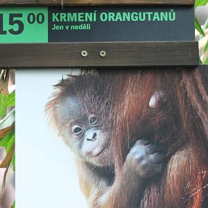 Sign Orang utan