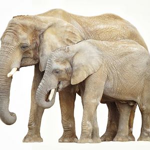 Feb. 2016 - Tembo Trail - Renee and Lucus