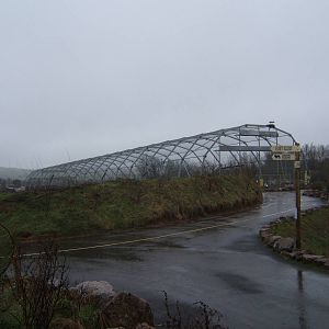South American Bird of Prey Aviary