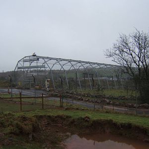Aviary with White Storks on the top