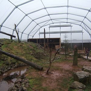 View inside South American Bird of Prey aviary