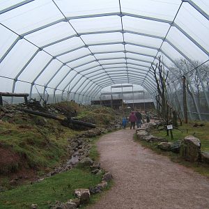 View inside South American Bird of Prey aviary