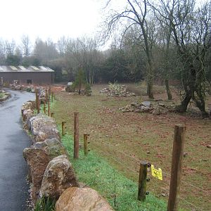 View of new Pygmy Hippo enclosure