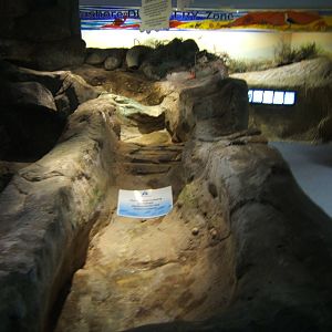 Coastal stream exhibit be re-furbed