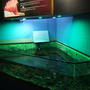 View of Sea Water tank