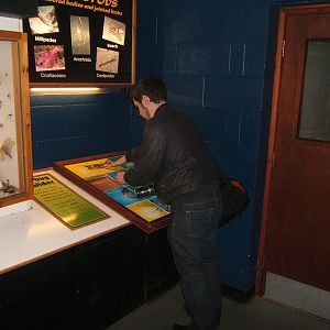 Education puzzle in use