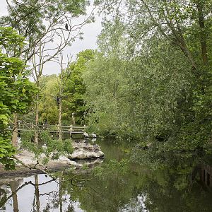 Pelican enclosure as seen from outside the zoo