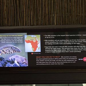 Nile Monitor Signage