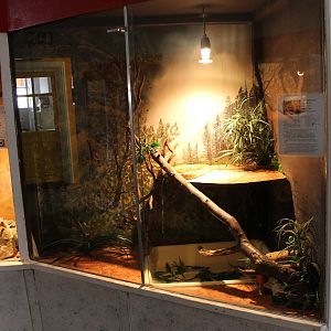 Enclosure Corn snake