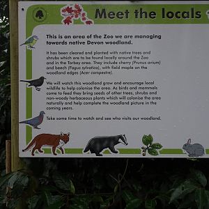 Woodland sign, February 2016