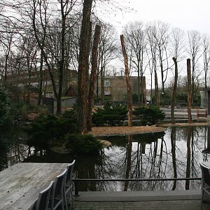 Gibbon island under constuction