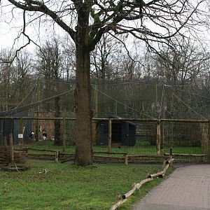 Saddle-billed stork exhibit