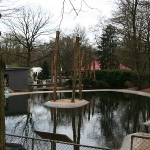 the new pelican pond under construction