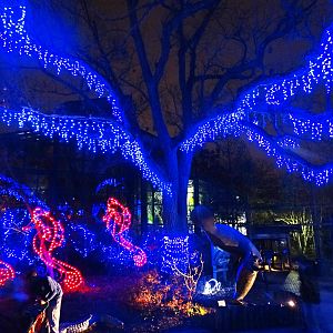 Festival of Lights 2015 - Manatee Springs