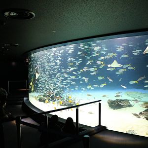 Main viewing window - Sunshine Aquarium Tokyo, February 2016