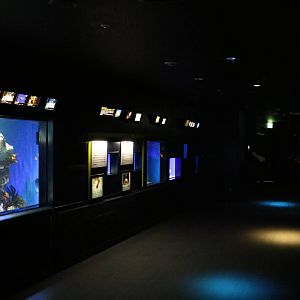 Aquarium exhibits - Sunshine Aquarium Tokyo, February 2016