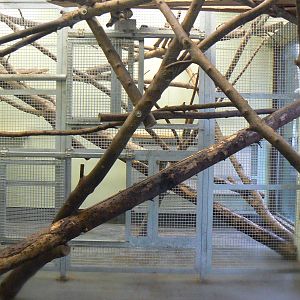 View of Indoor Housing for Drills - 6 February 2016