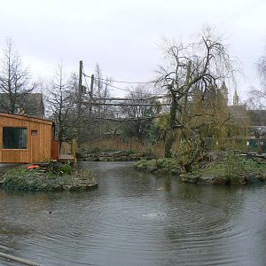 View of Part of the Lake - 6 February 2016