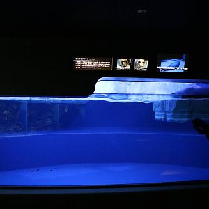 Baikal seal enclosure - Sunshine Aquarium Tokyo, February 2016