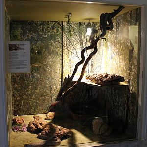 Enclosure Pacific boa