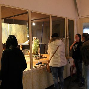 Keeper in front of Rhino iguana enclosure