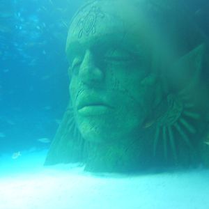 View of part of the main tank